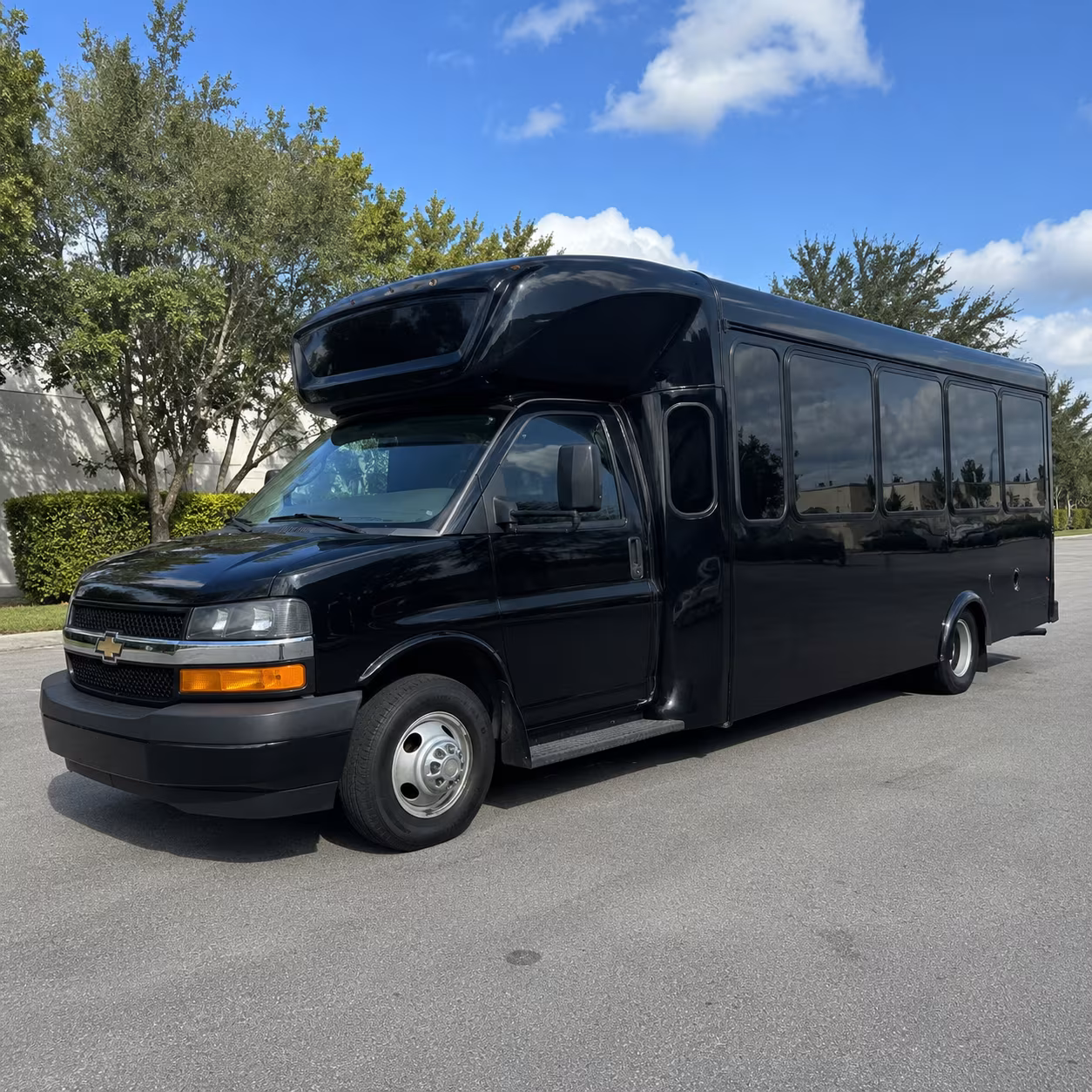 Group beside a Mercedes Sprinter limo in Knoxville