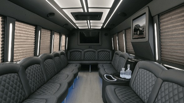 25 passenger party bus interior
